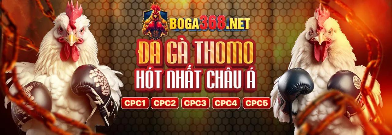Đá gà kịch tính tại won88 win